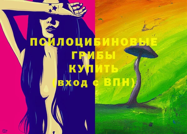 стаф Краснослободск