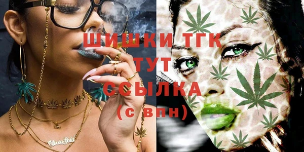 индика Кукмор