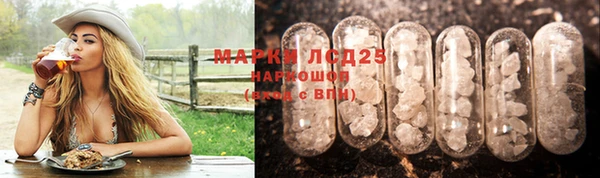 индика Кукмор