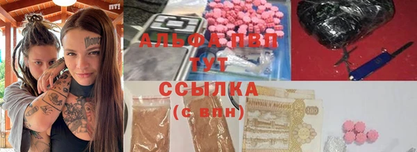 стаф Краснослободск