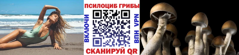 Псилоцибиновые грибы GOLDEN TEACHER  мориарти состав  Сосновый Бор 