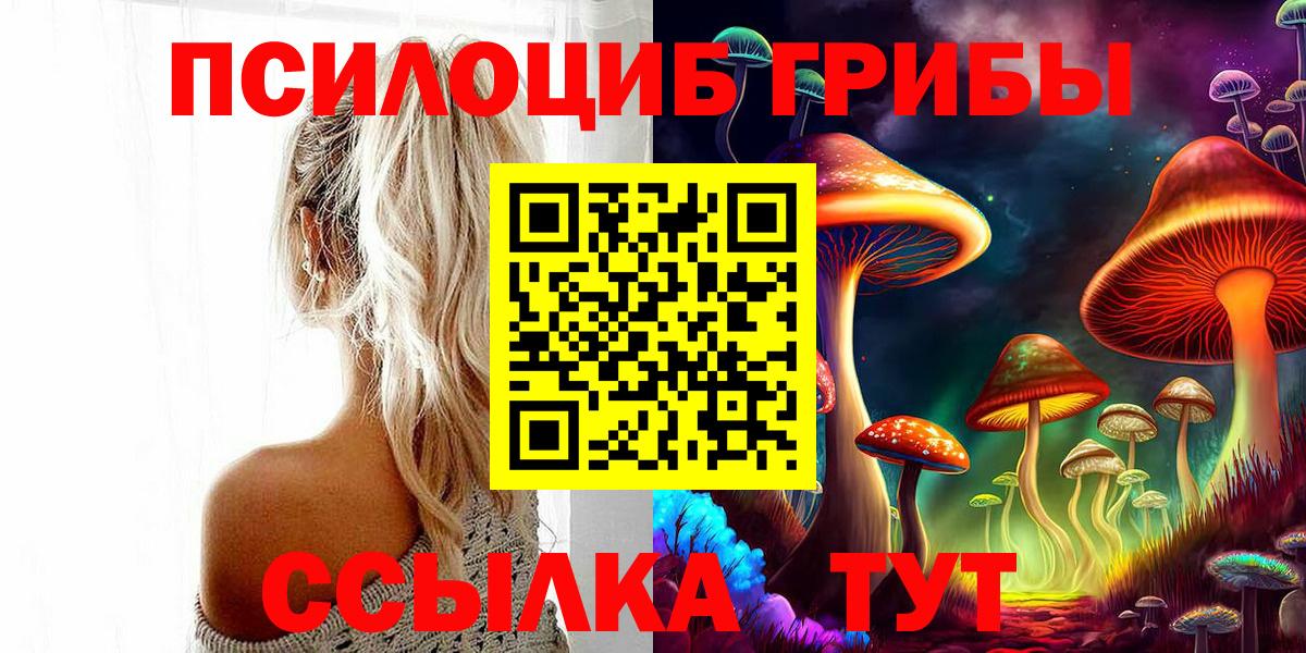 Псилоцибиновые грибы MAGIC MUSHROOMS Сосновый Бор