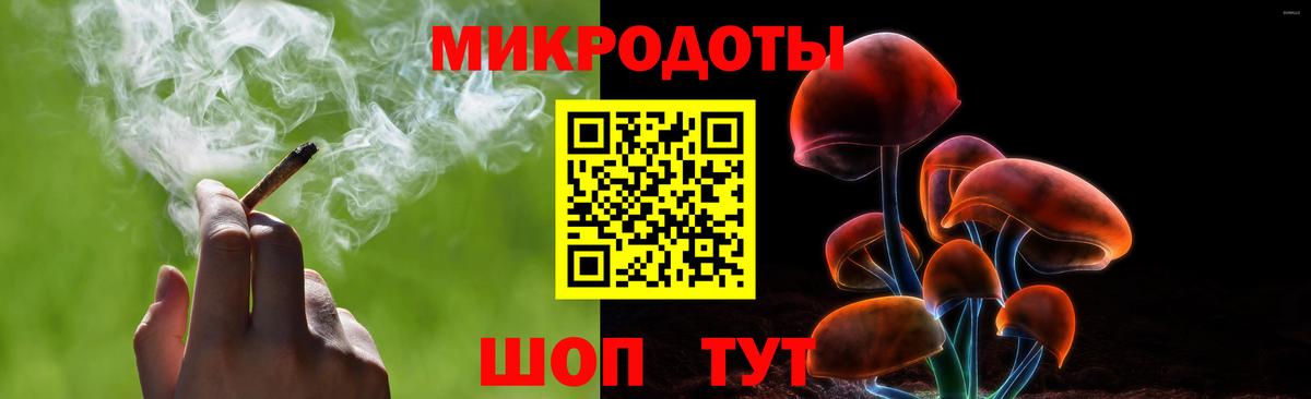 Псилоцибиновые грибы мухоморы Сосновый Бор