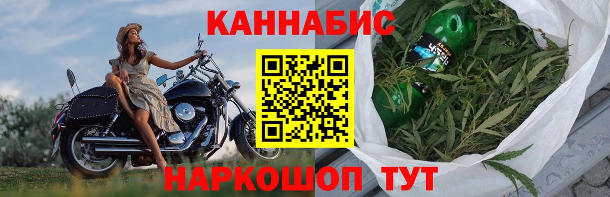 МАРИХУАНА семена Сосновый Бор